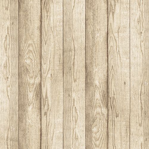 Andrea Rossi Razzoli 54176-3