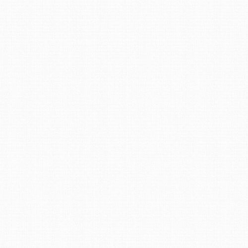 Andrea Rossi Razzoli 54180-1