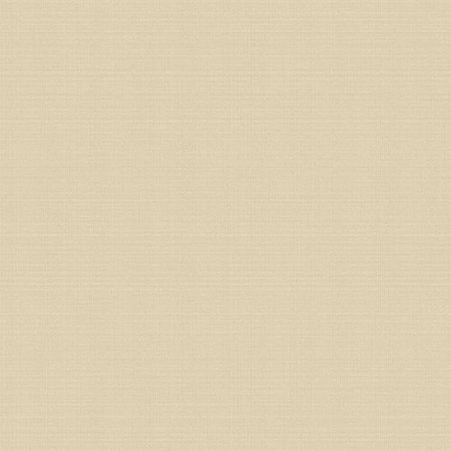 Andrea Rossi Razzoli 54180-4