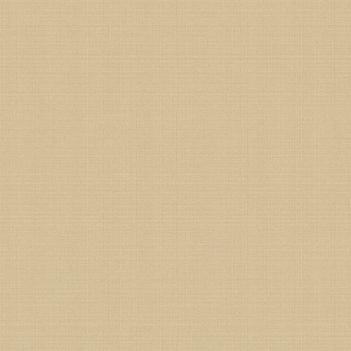 Andrea Rossi Razzoli 54180-5