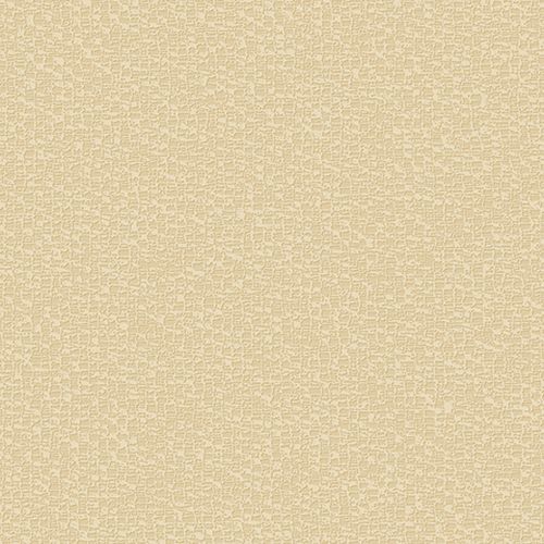 Andrea Rossi Razzoli 54185-4