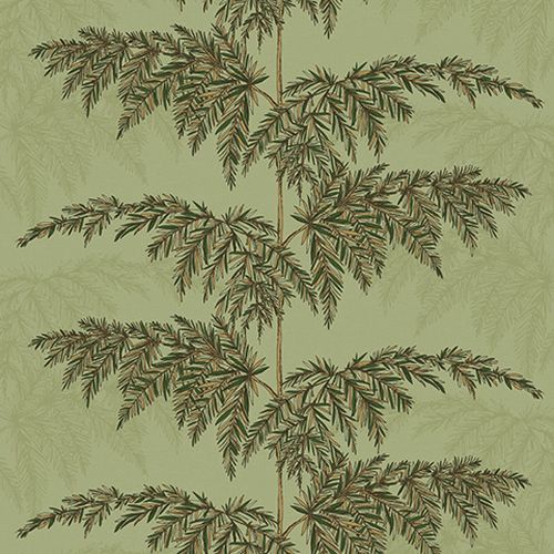 Andrea Rossi Razzoli 54190-5