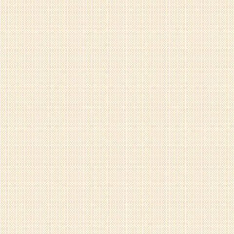 Andrea Rossi Torcello 54209-2