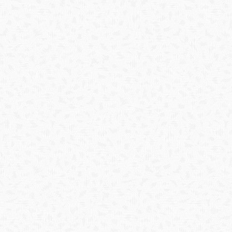 Andrea Rossi Torcello 54211-1