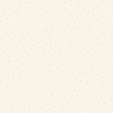 Andrea Rossi Torcello 54211-2