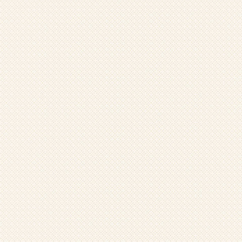 Andrea Rossi Torcello 54214-2