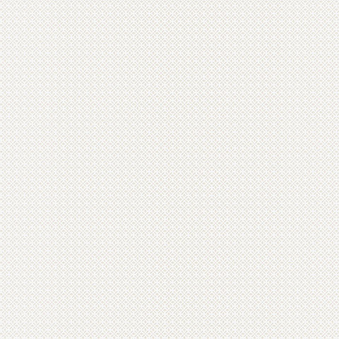 Andrea Rossi Torcello 54214-4