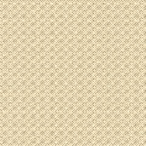 Andrea Rossi Torcello 54214-5