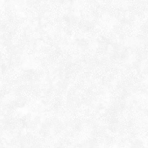 Andrea Rossi Torcello 54217-1