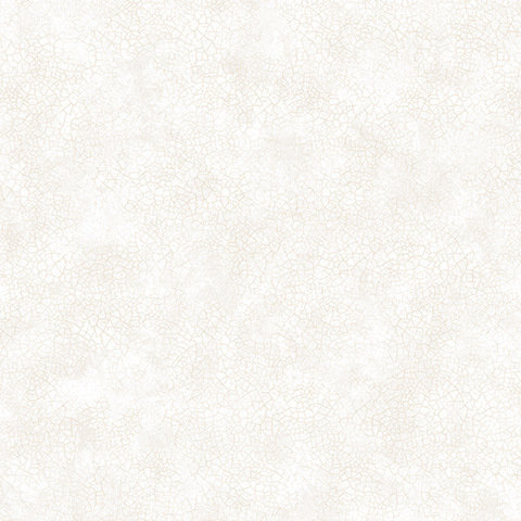 Andrea Rossi Torcello 54217-2