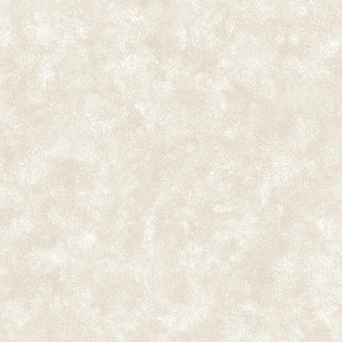 Andrea Rossi Torcello 54217-3