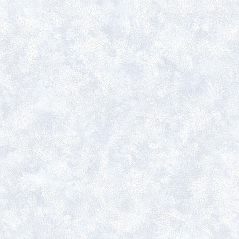 Andrea Rossi Torcello 54217-4