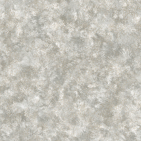 Andrea Rossi Torcello 54217-5