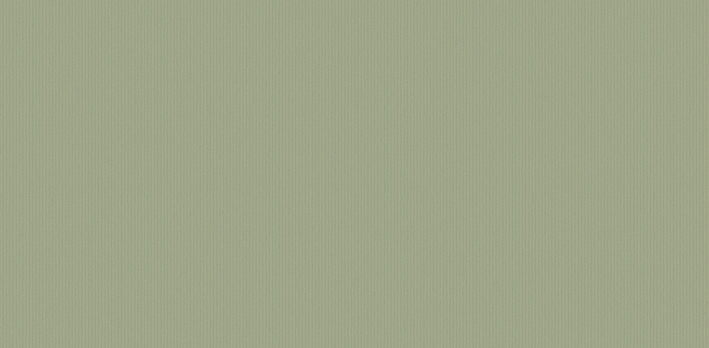 Andrea Rossi Asinara 54240-4