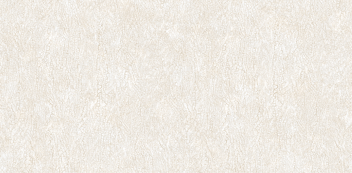 Andrea Rossi Asinara 54244-1