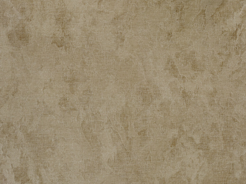 Fipar_Giulietta_R11122