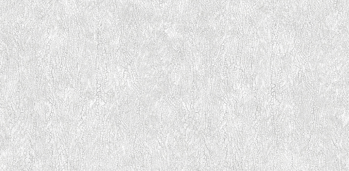 Andrea Rossi Asinara 54244-2