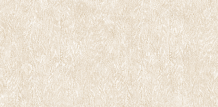 Andrea Rossi Asinara 54244-3