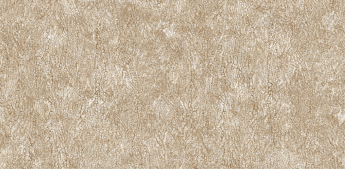 Andrea Rossi Asinara 54244-4