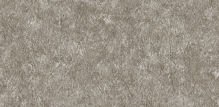 Andrea Rossi Asinara 54244-5