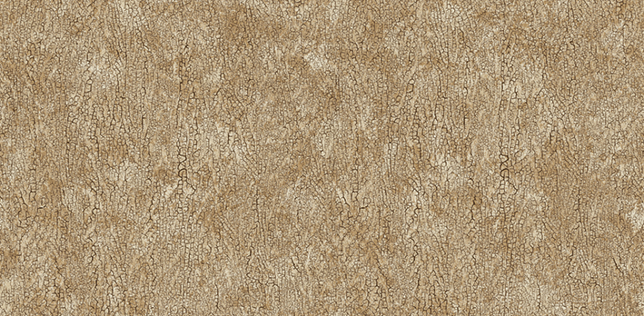 Andrea Rossi Asinara 54244-6