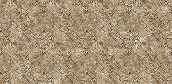 Andrea Rossi Asinara 54246-7