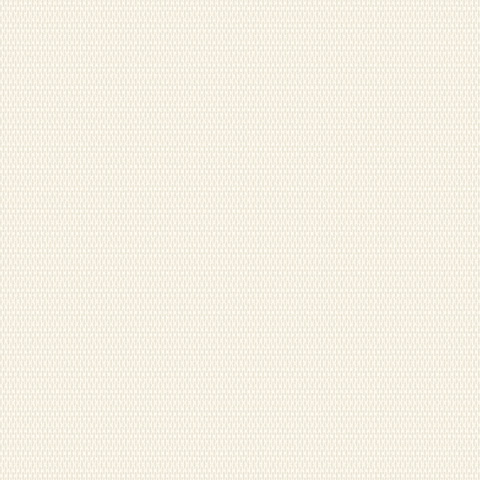 Andrea Rossi Levanzo 54199-6