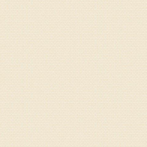 Andrea Rossi Levanzo 54199-7