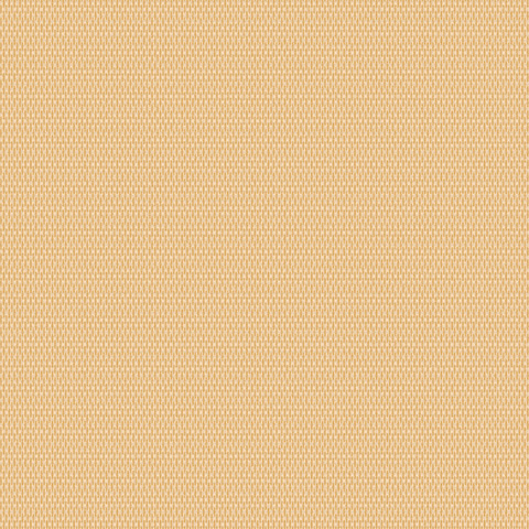 Andrea Rossi Levanzo 54199-8