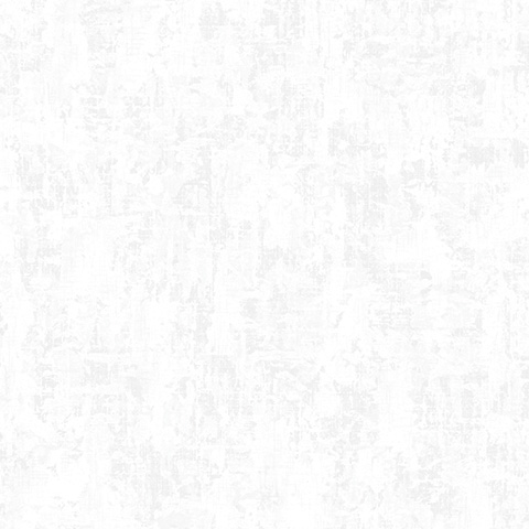 Andrea Rossi Levanzo 54225-1