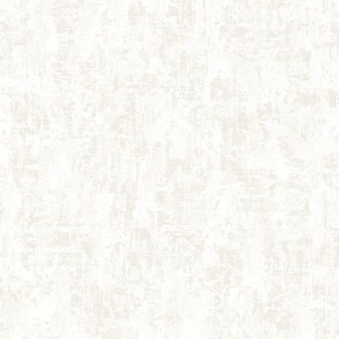 Andrea Rossi Levanzo 54225-2