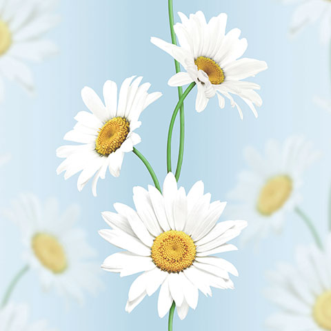 Andrea Rossi Murano 54123-6