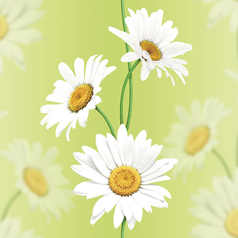 Andrea Rossi Murano 54123-8