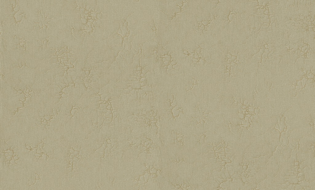 Bernardo Bartalucci Giulia 84126-5