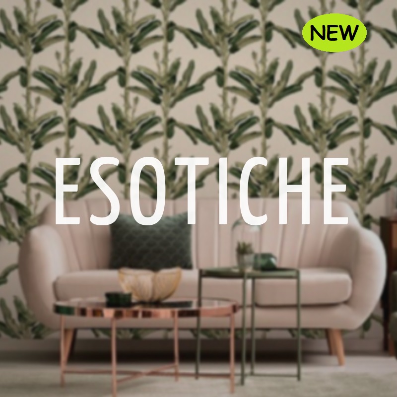 Alessandro Allori Esotiche