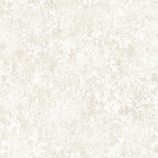 Alessandro Allori JCD 4003-1