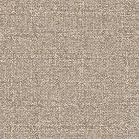 Alessandro Allori JCD 5001-3