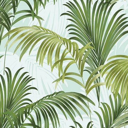 Alessandro Allori JCD 5011-4