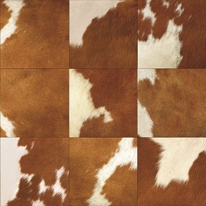 Alessandro Allori RST 1401-3