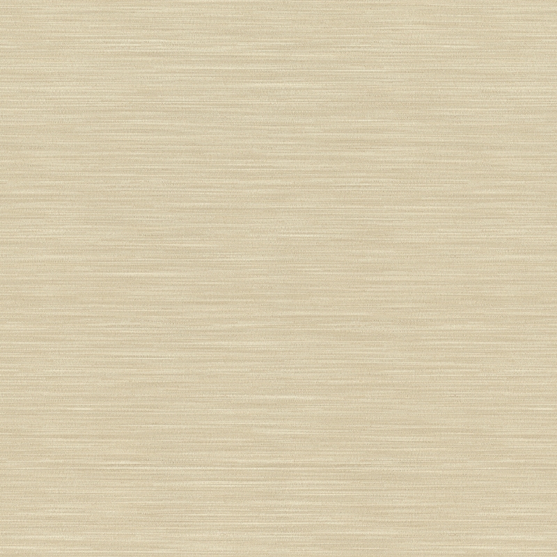 Rasch Maximum XV 959338