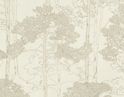 Rasch Hyde Park 410822