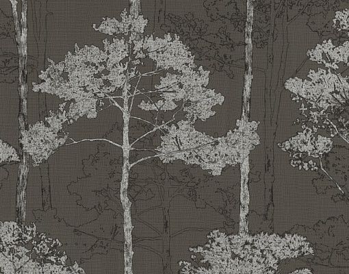 Rasch Hyde Park 410839