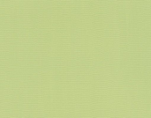 Rasch Hyde Park 411829