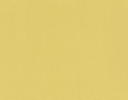 Rasch Hyde Park 411836