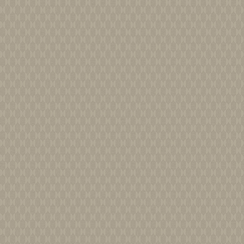 Andrea Rossi Barbana 54283-5