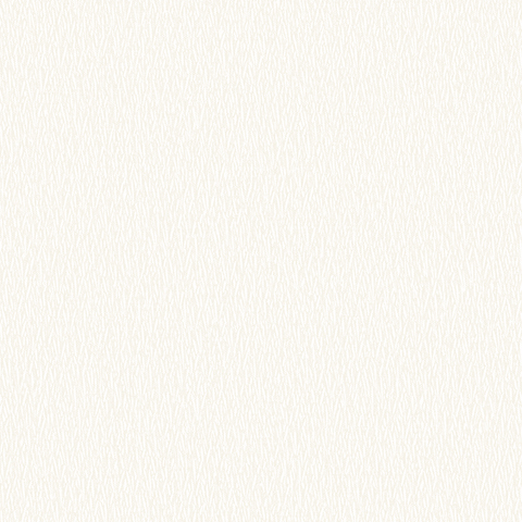 Andrea Rossi Barbana 54285-1