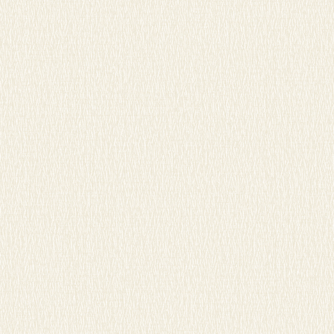 Andrea Rossi Barbana 54285-2