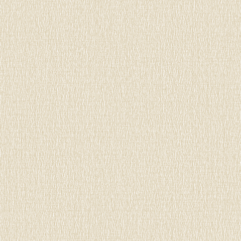 Andrea Rossi Barbana 54285-3