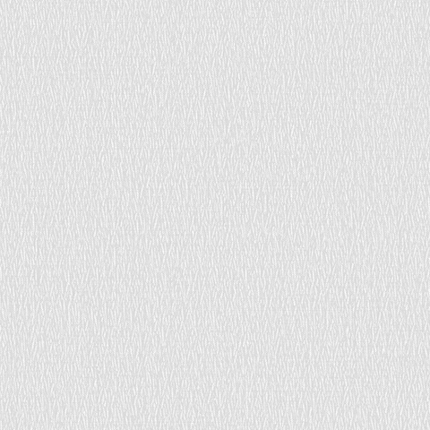 Andrea Rossi Barbana 54285-4