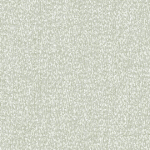 Andrea Rossi Barbana 54285-5